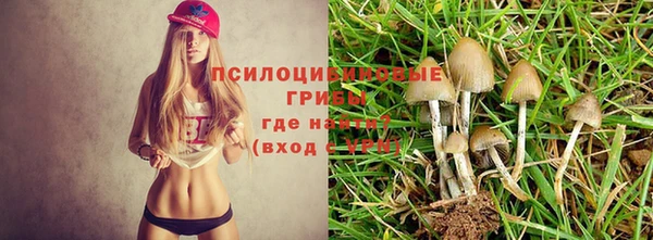 метамфетамин Алексеевка