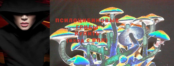 МДПВ Абдулино