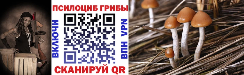 где купить наркоту  Красновишерск  KRAKEN tor  Псилоцибиновые грибы Psilocybine cubensis 